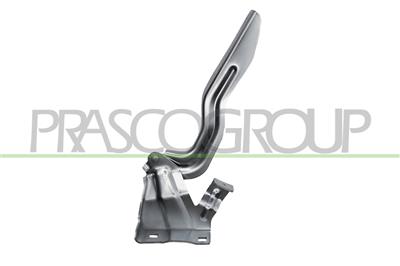 CERNIERA DESTRA COFANO — ricambio carrozzeria NISSAN Qashqai (J11) — Cod. DS7123703 — Apa Ricambi