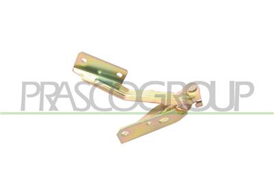 CERNIERA DESTRA COFANO — ricambio carrozzeria FORD Focus — Cod. FD4203703 — Apa Ricambi