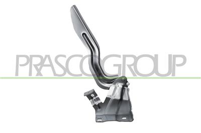 CERNIERA SINISTRA COFANO — ricambio carrozzeria NISSAN Qashqai (J11) — Cod. DS7123704 — Apa Ricambi
