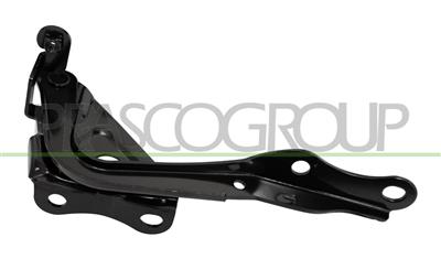 CERNIERA SINISTRA COFANO — ricambio carrozzeria TOYOTA Rav 4 — Cod. TY2873704 — Apa Ricambi