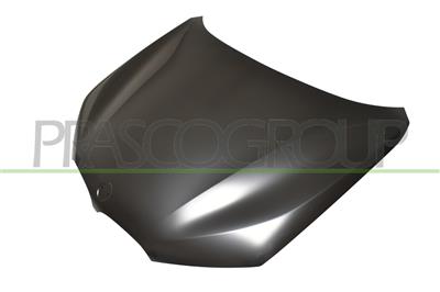 COFANO — ricambio carrozzeria BMW X1 - F48 — Cod. BM7063100 — Apa Ricambi
