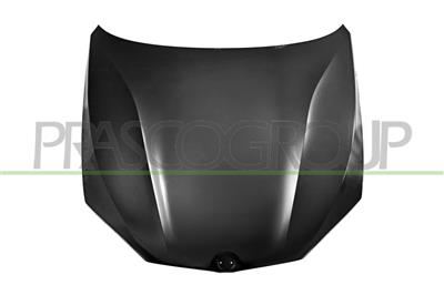 COFANO — ricambio carrozzeria BMW X5 - F15 — Cod. BM8263100 — Apa Ricambi