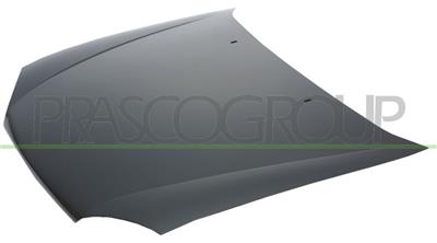 COFANO — ricambio carrozzeria FORD Fiesta MK IV / Courier VAN — Cod. FD0523100 — Apa Ricambi