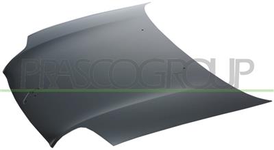 COFANO — ricambio carrozzeria RENAULT Clio — Cod. RN3203100 — Apa Ricambi