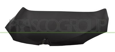 COFANO — ricambio carrozzeria RENAULT Megane — Cod. RN4243130 — Apa Ricambi