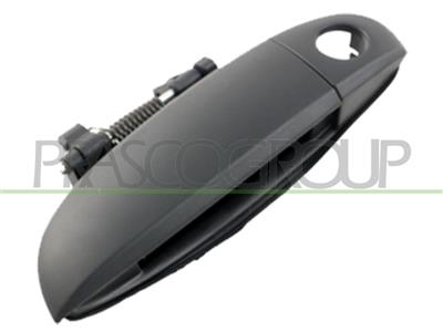MANIGLIA ANTERIORE SINISTRA-ESTERNA-CON PRIMER-CON FORO NOTTOLINO — ricambio carrozzeria HYUNDAI I10 (PA) — Cod. HN0028004 — Apa Ricambi