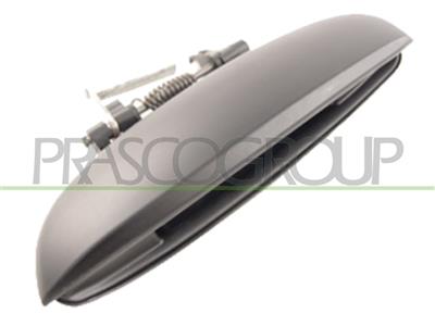 MANIGLIA POSTERIORE SINISTRA-ESTERNA-CON PRIMER — ricambio carrozzeria HYUNDAI I10 (PA) — Cod. HN0028104 — Apa Ricambi